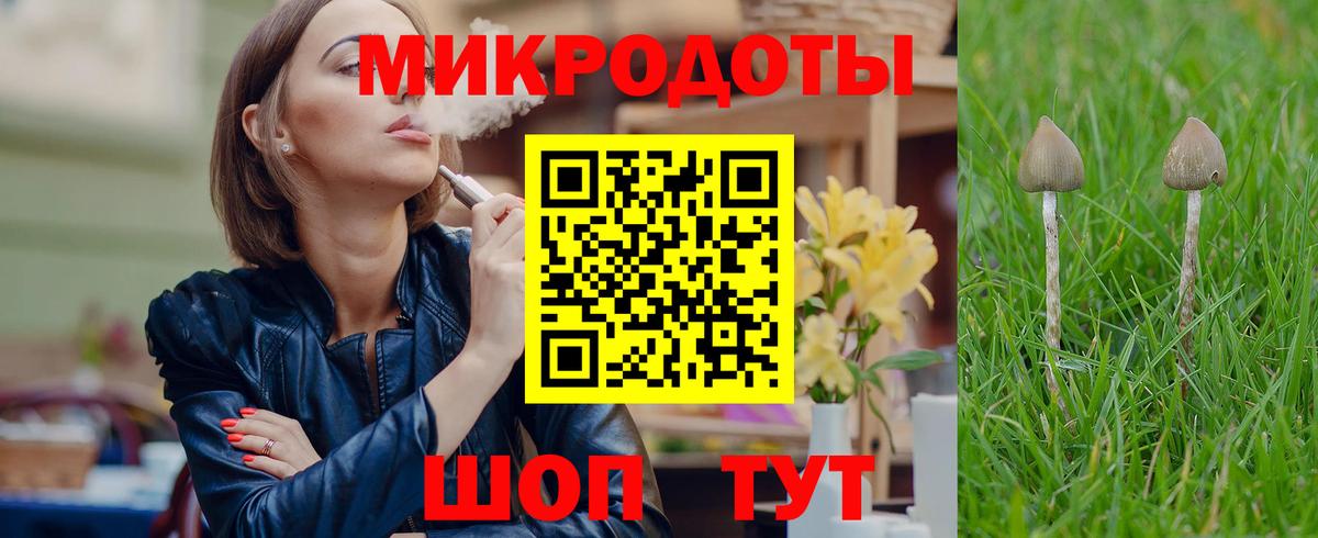 Галлюциногенные грибы Magic Shrooms Карачаевск