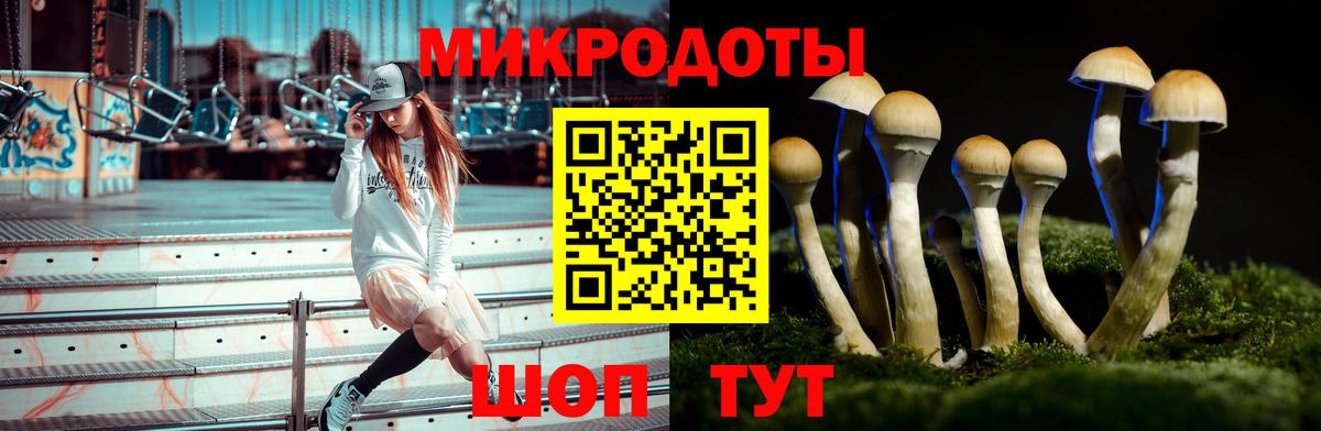 Карачаевск  Псилоцибиновые грибы ЛСД  Вход с VPN 
